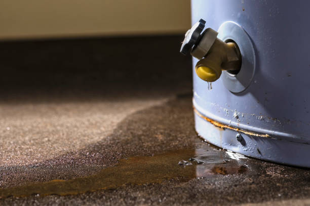 Best Water damage restoration near me  in Kalispell, MT