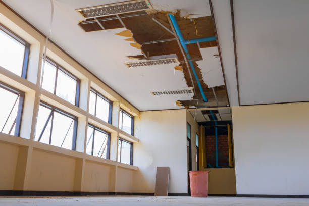 Reliable MT Water damage restoration Solutions