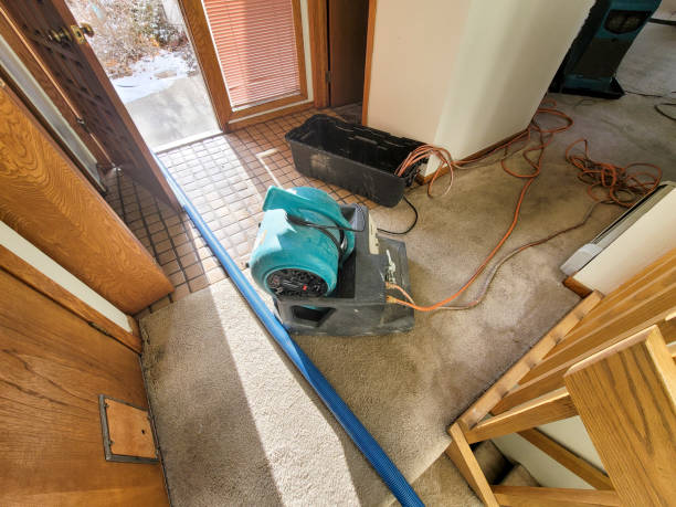 Best Water damage repair service  in Kalispell, MT