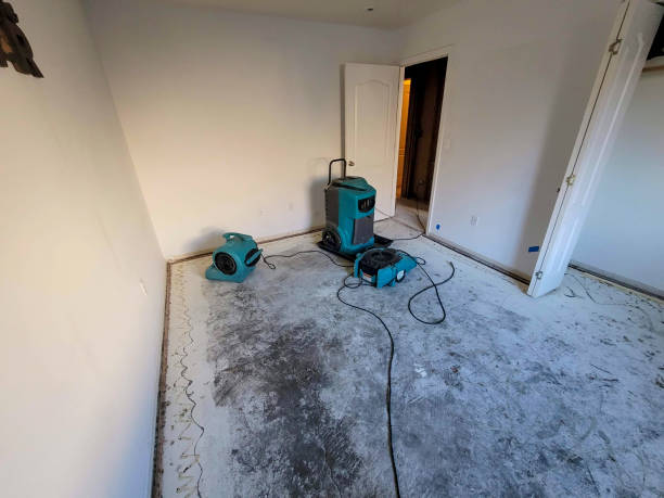 Best Flooded house restoration  in Kalispell, MT
