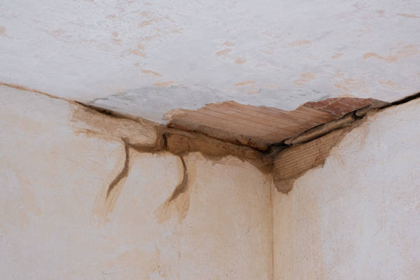 Best Flood damage cleanup  in Kalispell, MT