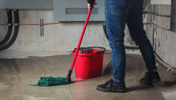 Best Water damage restoration near me  in Kalispell, MT