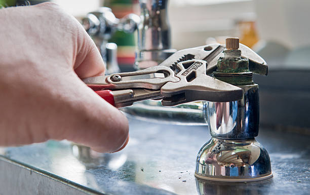 Best Mold removal after water damage  in Kalispell, MT
