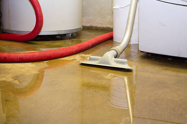 Best Sewage cleanup and water damage restoration  in Kalispell, MT