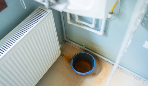 Best Professional water damage repair  in Kalispell, MT