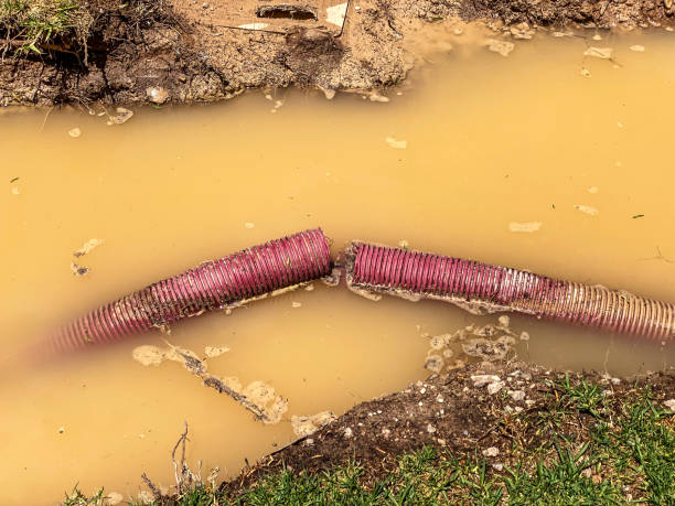 Best Water damage restoration process  in Kalispell, MT