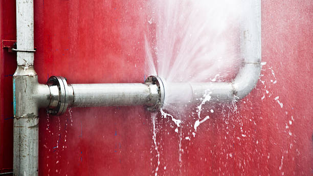 Best Local water damage restoration  in Kalispell, MT